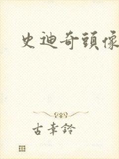 史迪奇头像