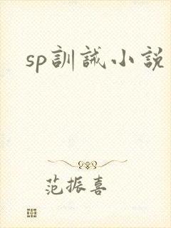 sp训诫小说封面
