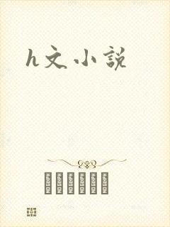 h文小说封面