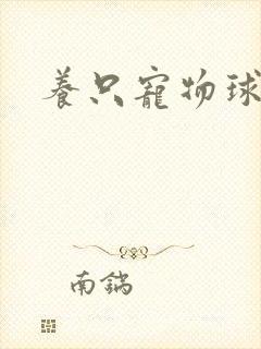 养只宠物球