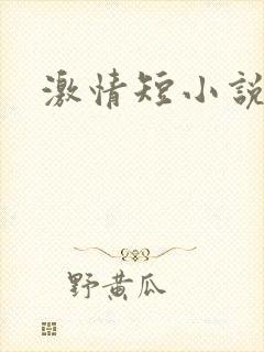 激情短小说封面