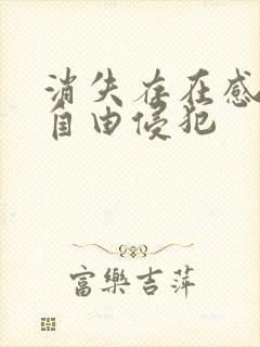 消失存在感消失自由侵犯