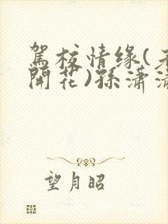 驾校情缘(老树开花)孙潇潇笔趣阁