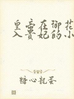 皇帝在御花园进入贵妃的小说