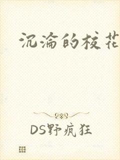 沉沦的校花