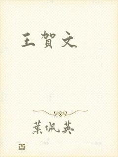 王贺文