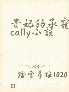 贵妃的承宠日常cally小说