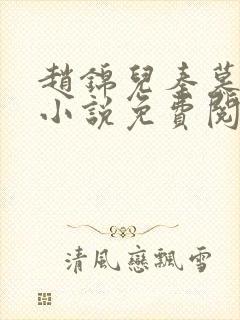 赵锦儿秦慕修的小说免费阅读全文