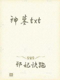 神墓txt