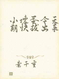 小坏蛋今天危险期快拔出来封面