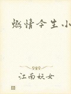 燃情今生小说