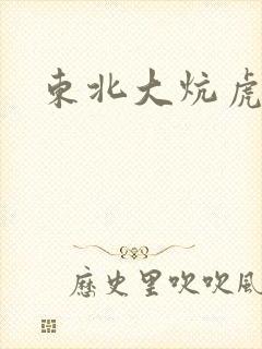 东北大炕虎子封面