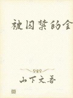 被囚禁的金丝雀