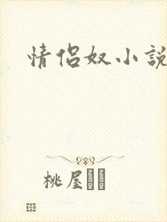 情侣奴小说