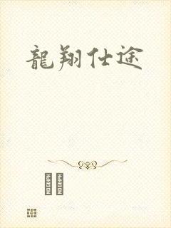 龙翔仕途