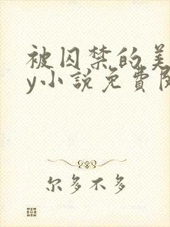 被囚禁的美人by小说免费阅读