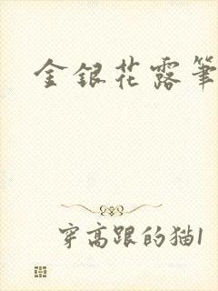 金银花露笔趣阁封面