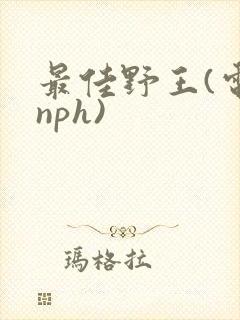 最佳野王(电竞nph)封面