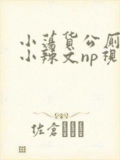 小荡货公厕h文小辣文np视频封面