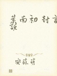 叶南初 封言小说