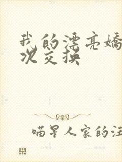 我的漂亮娇妻初次交换