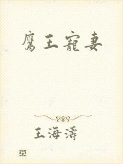 鹰王宠妻