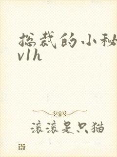 总裁的小秘书1v1h