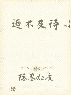 迫不及待 小穴