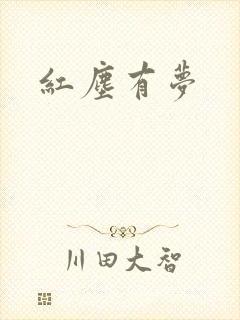 红尘有梦封面