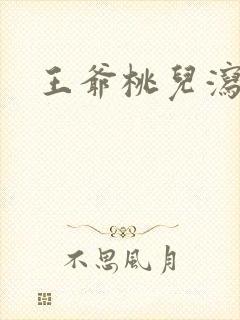 王爷桃儿泻了封面