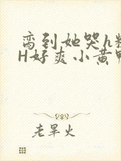 脔到她哭h粗话H好爽小黄鸭视频