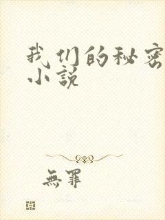 我们的秘密泰剧小说