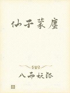 仙子蒙尘封面
