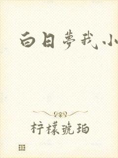 白日梦我小说