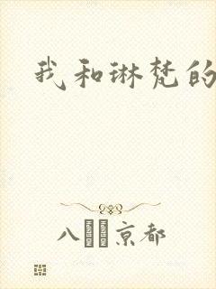 我和琳梵的故事
