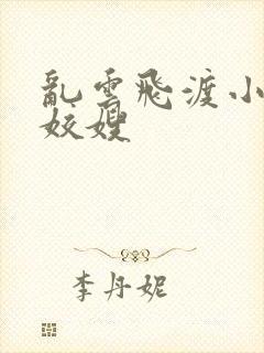 乱云飞渡小说之姣嫂