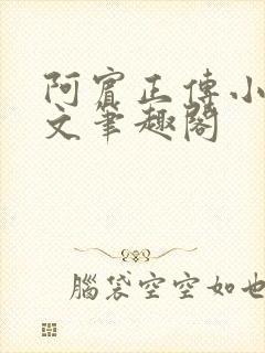 阿宾正传小说全文笔趣阁