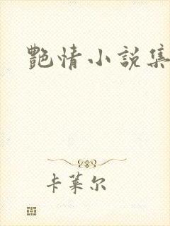 艳情小说集封面