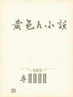黄色h小说