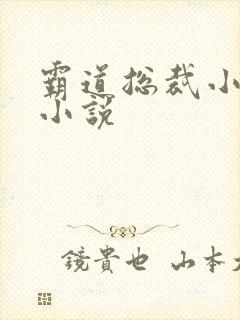 霸道总裁小娇妻小说