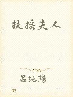 扶摇夫人封面