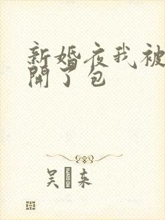 新婚夜我被伴郎开了包封面