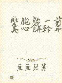 双胞胎一前一后夹心饼干年下封面