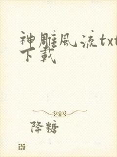 神雕风流txt下载封面