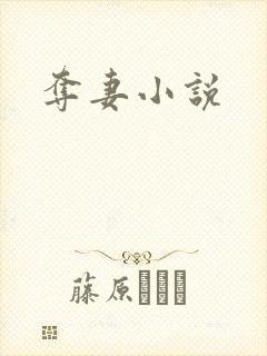 夺妻小说封面