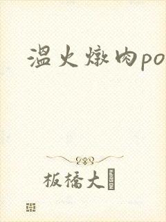 温火炖肉pop