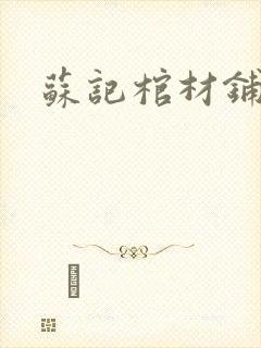苏记棺材铺封面