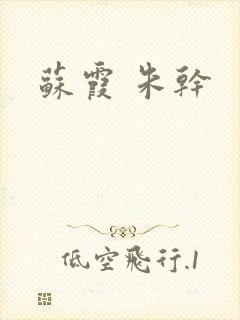 苏霞 朱干