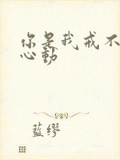 你是我戒不掉的心动