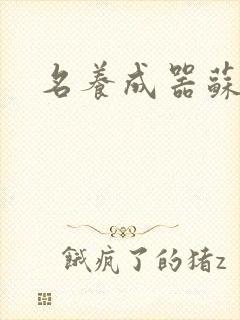 名养成器苏沫沫封面
